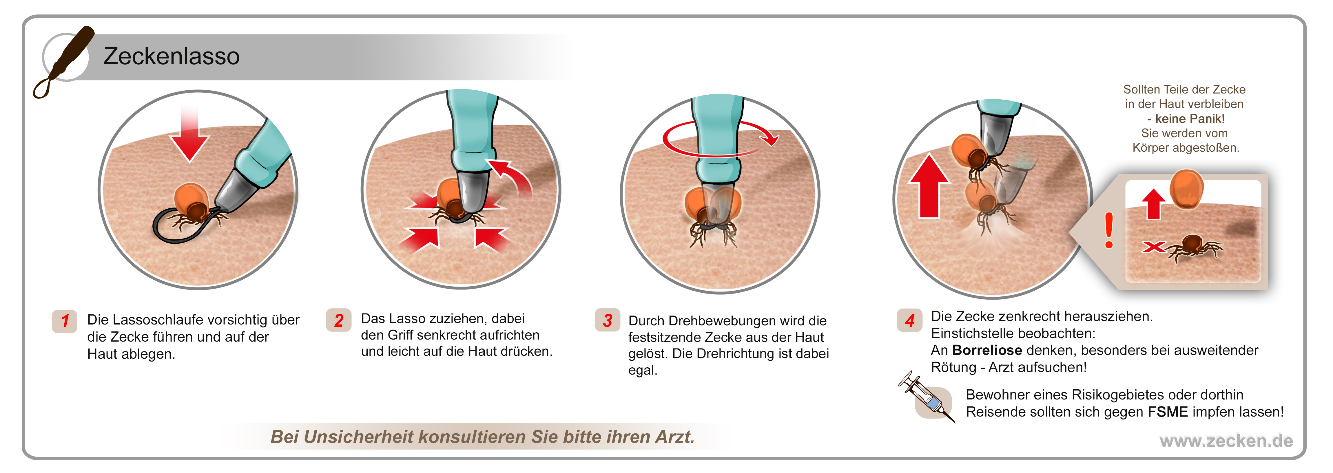 Katze Zecke Kopf Drin